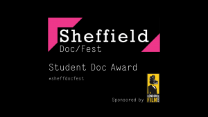 Sheffield DocFest awards motion graphics from the 2014 ceremony.
